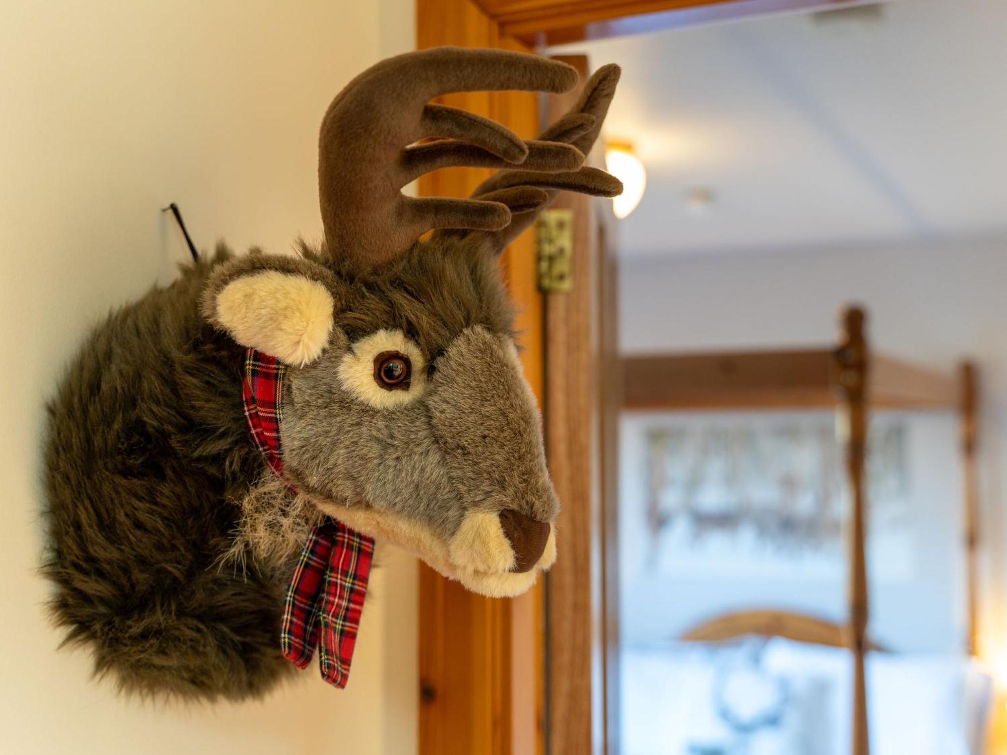 Holiday Home Braeriach By Interhome Aviemore Esterno foto